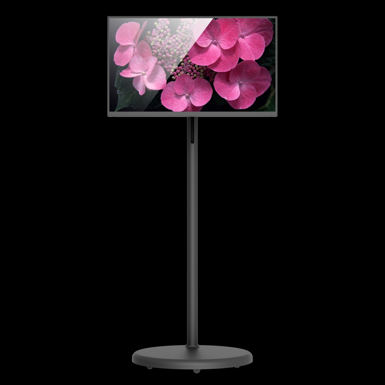 27inch standby me smart display